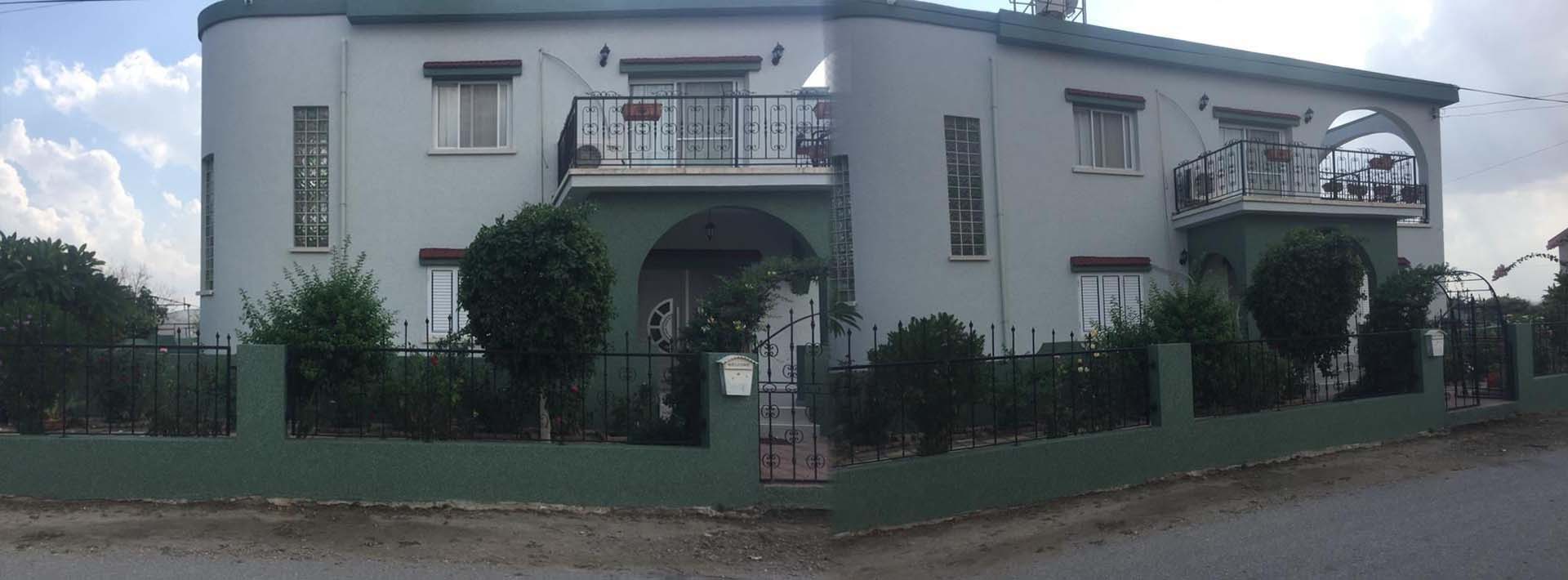 Yaprak Sıva